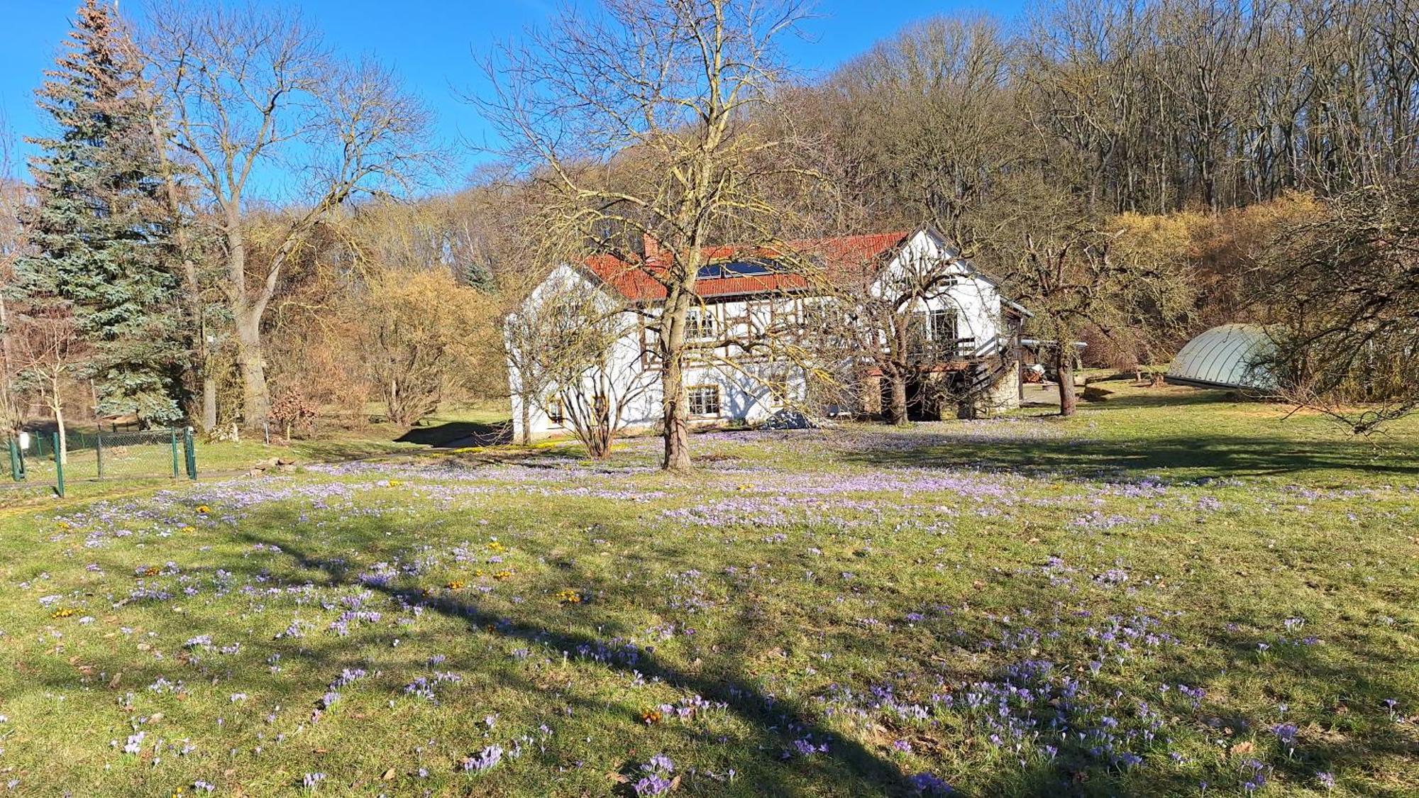 Ferienwohnung Obermuehle Ballstädt Pokoj fotografie