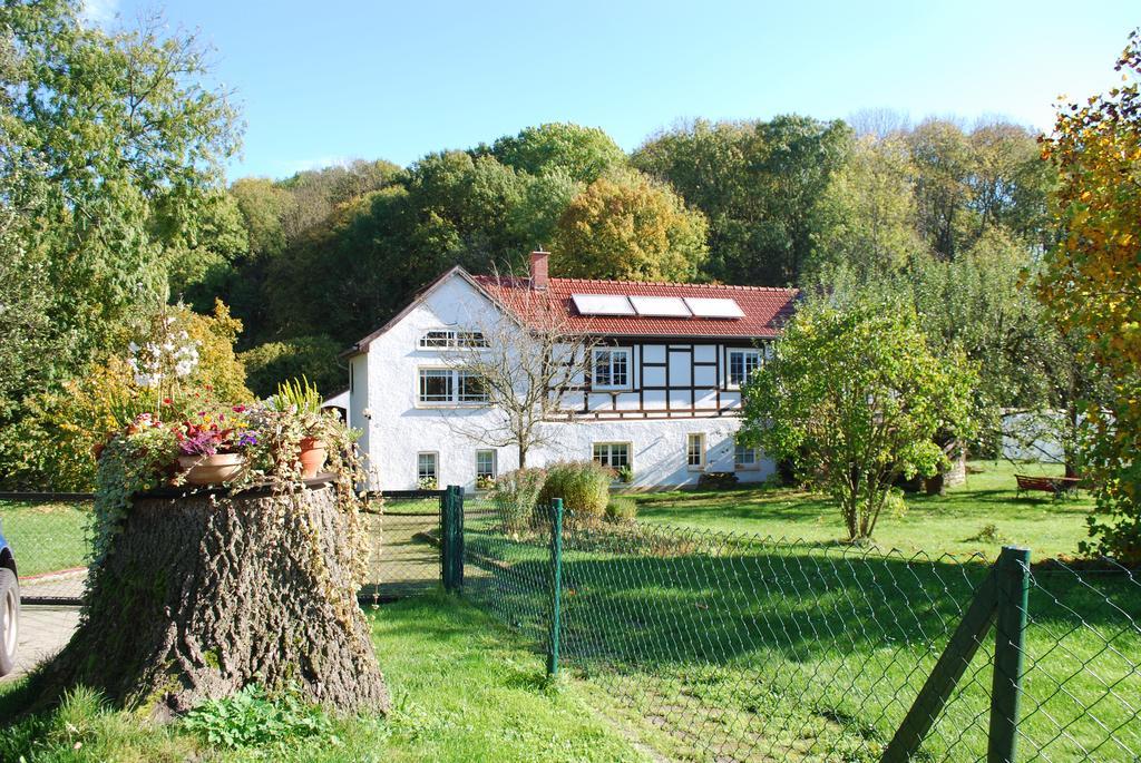 Ferienwohnung Obermuehle Ballstädt Pokoj fotografie
